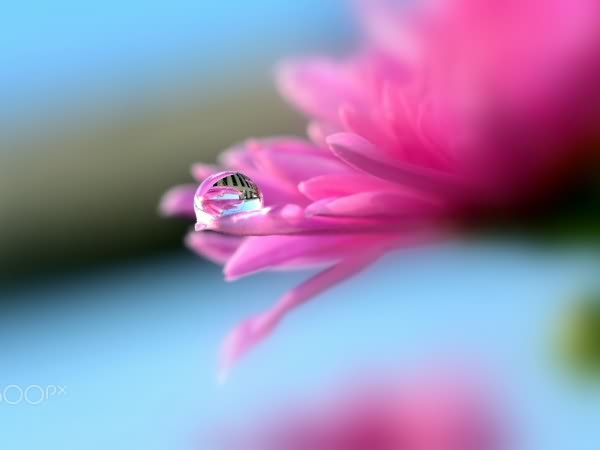 佛山市科桌科技有限公司網(wǎng)站全新改版?。? title=